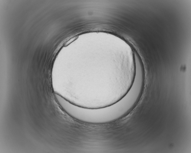 X0000114061089200911161123