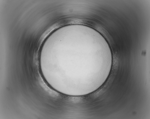 X0000114061090200911161123