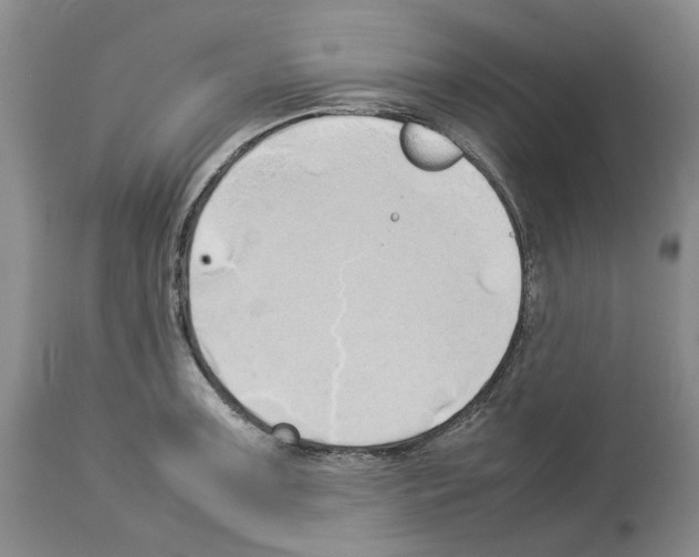 X0000114061091200911161123