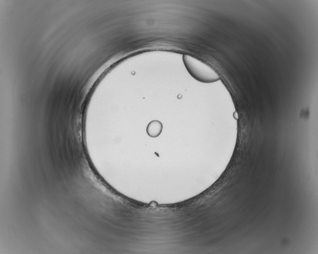 X0000114061092200911161123