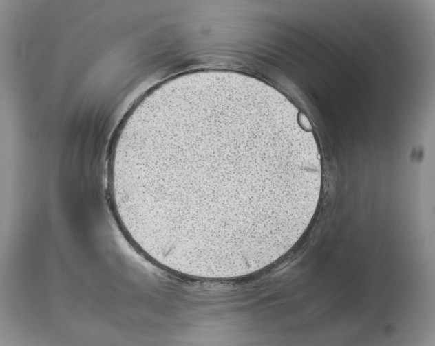 X0000114061095200911161123