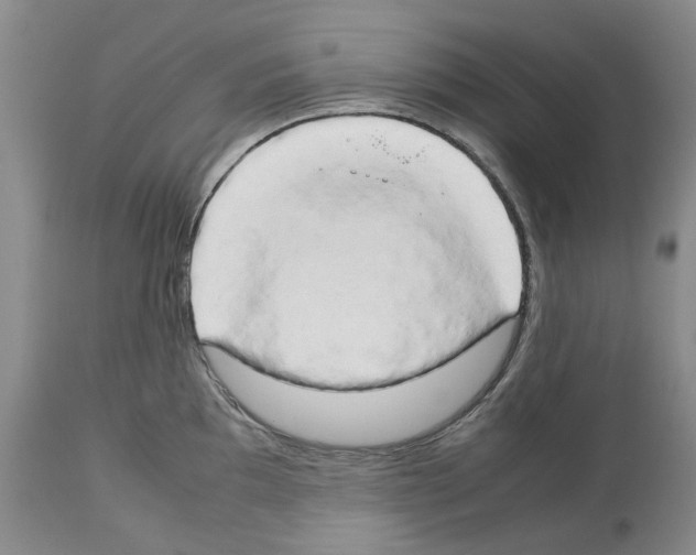 X0000114061097200911161123