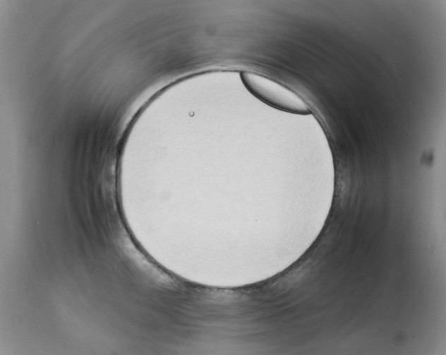 X0000114061100200911161123