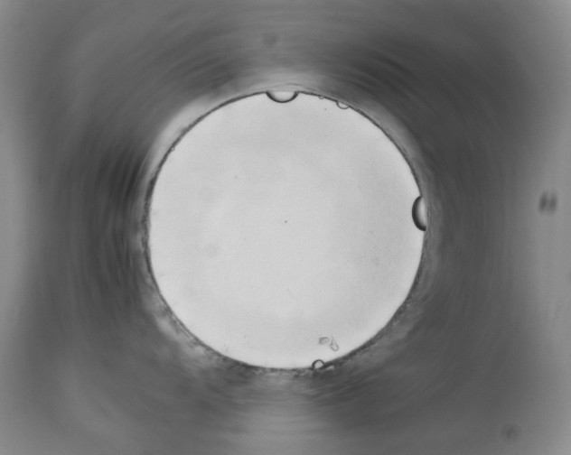 X0000114061104200911161123