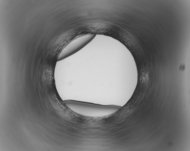 X0000114061108200911161122