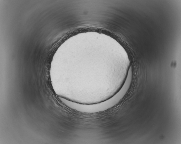 X0000114061110200911161122