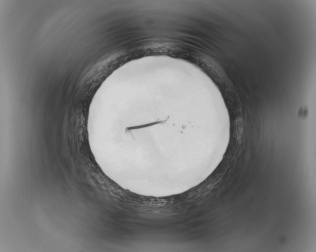 X0000114061111200911161122