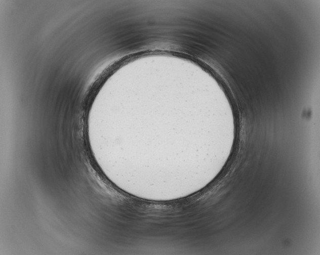 X0000114061115200911161122