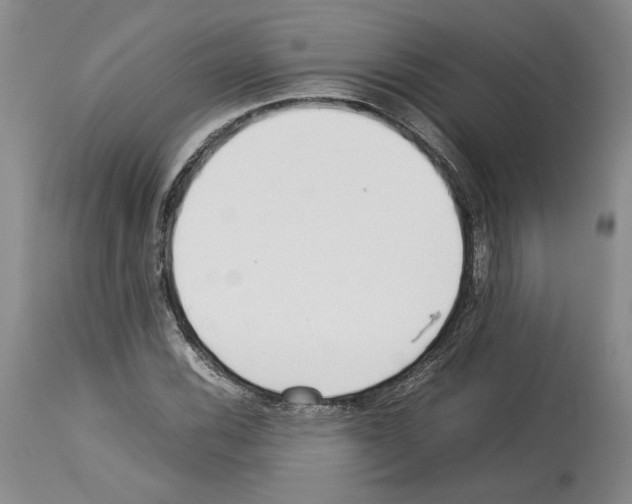 X0000114061116200911161122