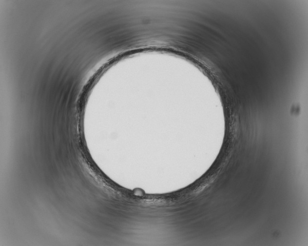 X0000114061118200911161122