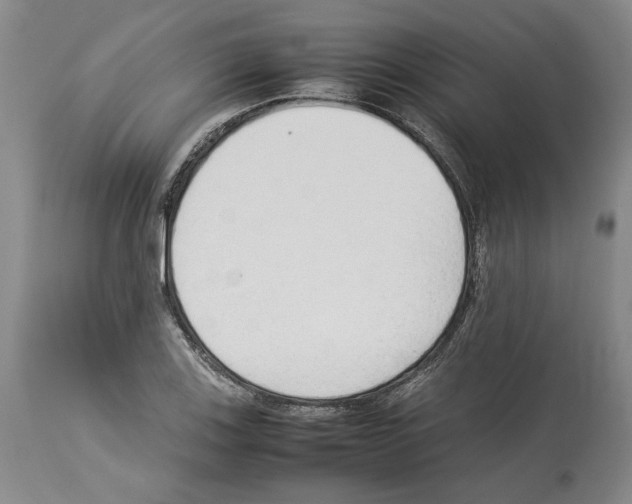 X0000114061123200911161122