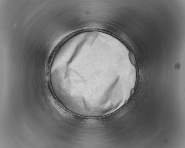 X0000114061124200911161122