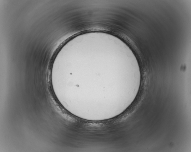 X0000114061125200911161122