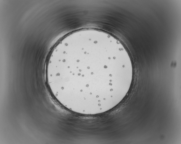 X0000114061127200911161122