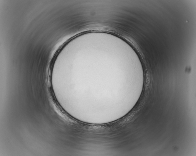 X0000114061128200911161122