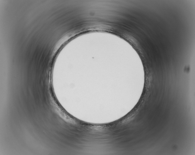 X0000114061130200911161122