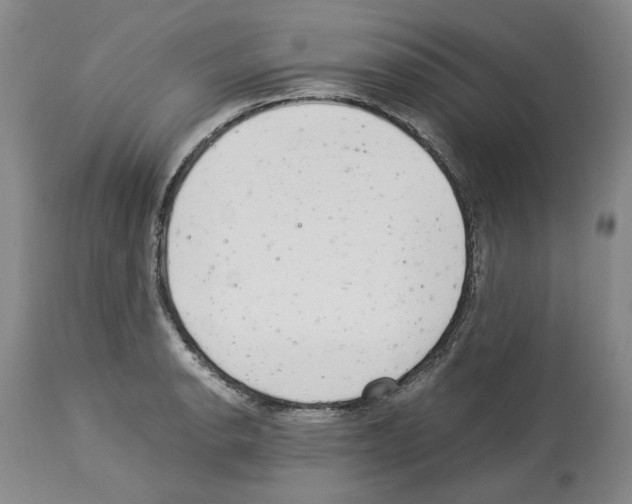 X0000114061134200911161122