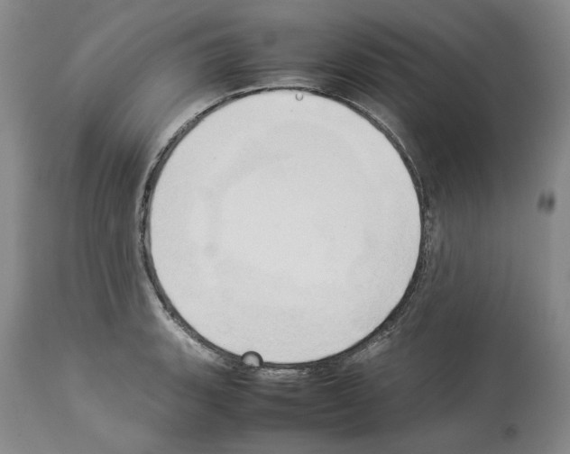 X0000114061135200911161122