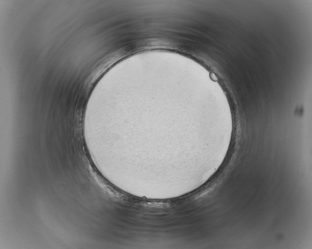 X0000114061137200911161123