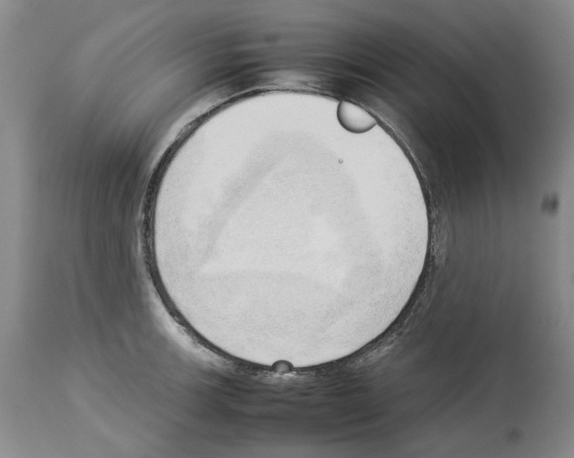 X0000114061139200911161123