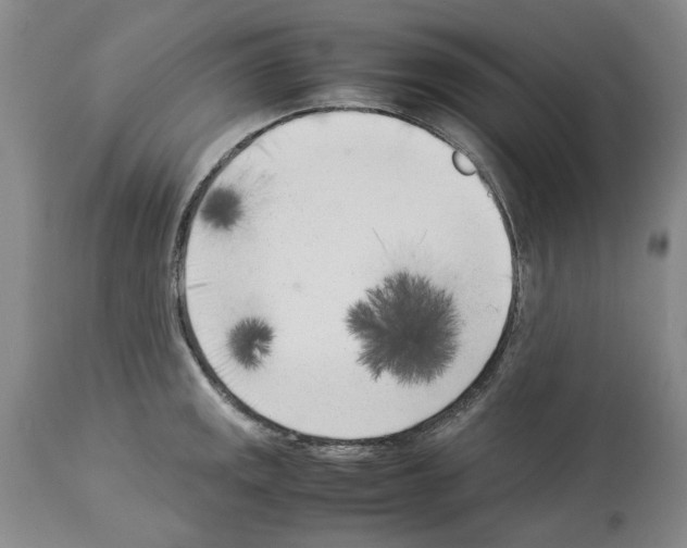 X0000114061141200911161123