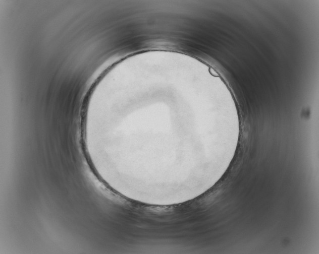 X0000114061147200911161123