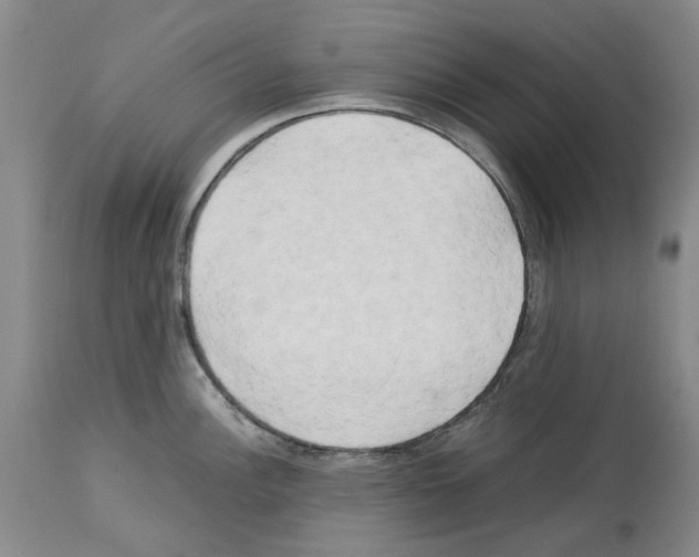 X0000114061148200911161123