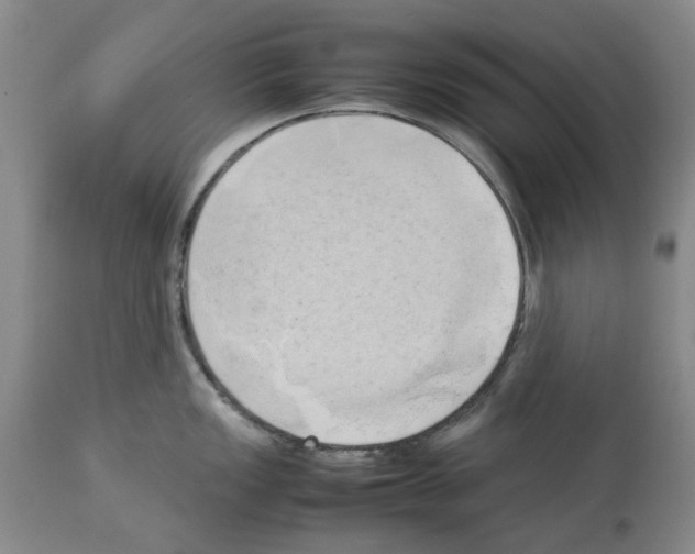 X0000114061149200911161123