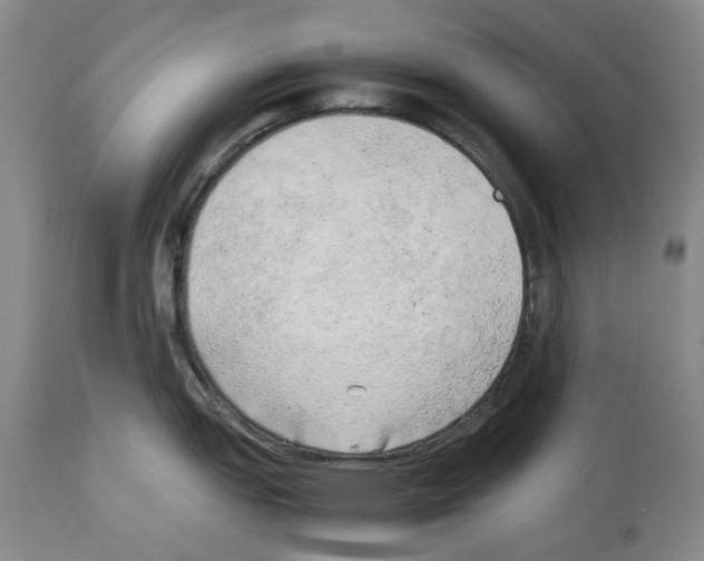 X0000114061151200911161123