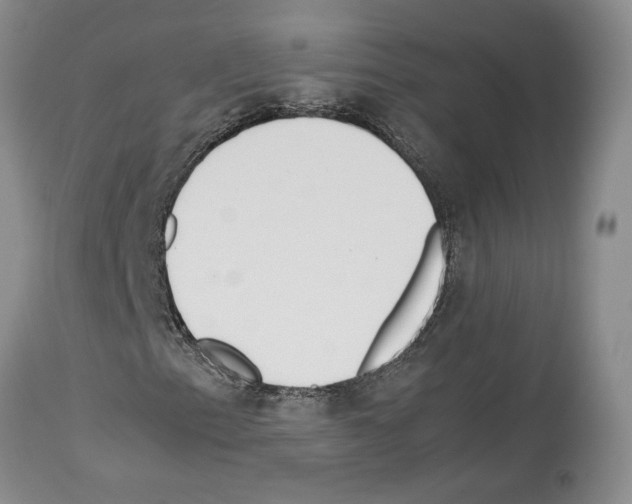 X0000114061153200911161122