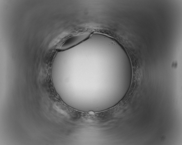 X0000114061157200911161122