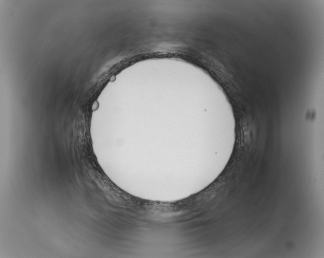 X0000114061158200911161122