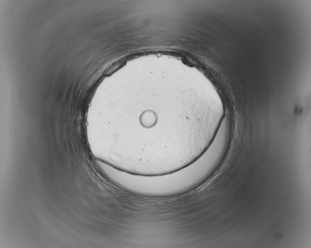 X0000114061161200911161122