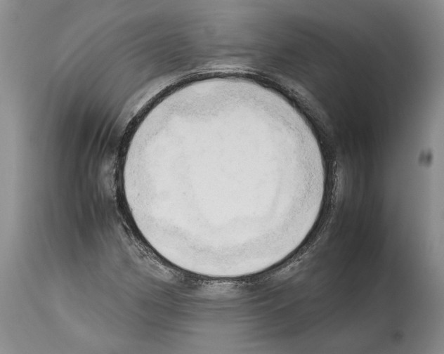 X0000114061162200911161122