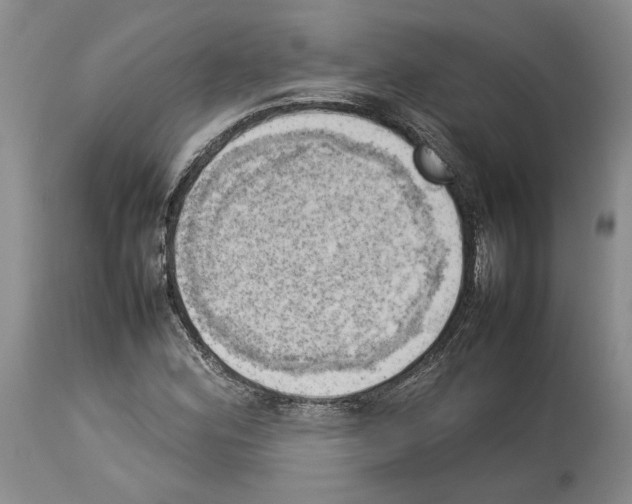 X0000114061164200911161122