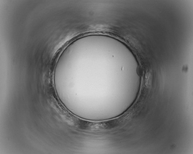 X0000114061165200911161122