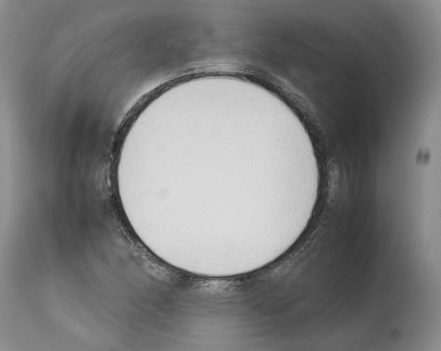 X0000114061166200911161122