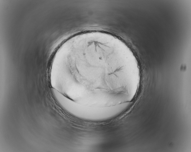 X0000114061167200911161122