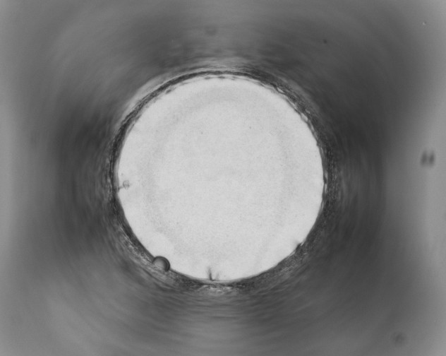 X0000114061168200911161122