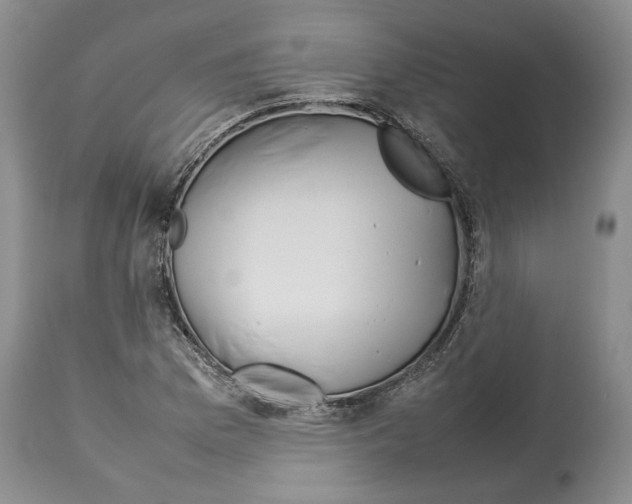 X0000114061169200911161122