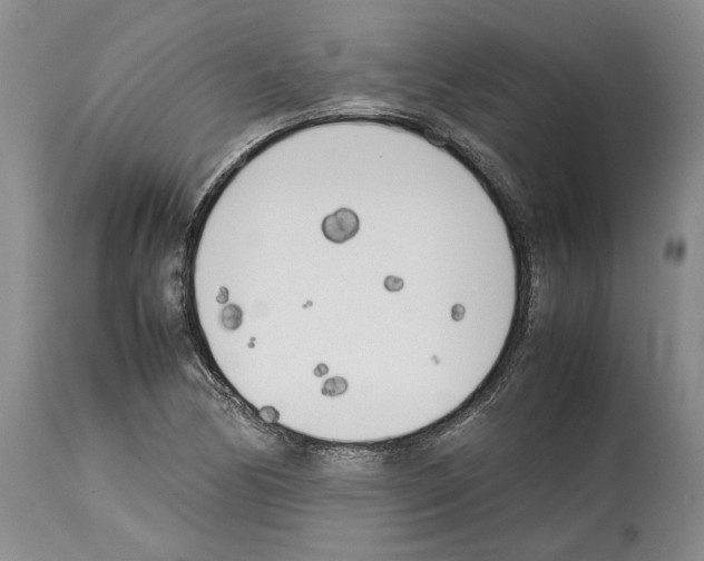 X0000114061170200911161122