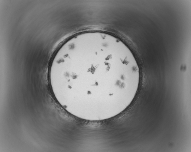 X0000114061174200911161122