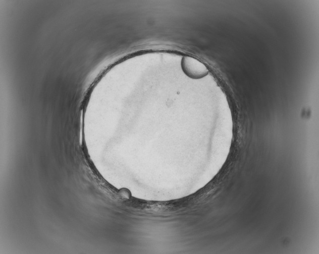 X0000114061175200911161122