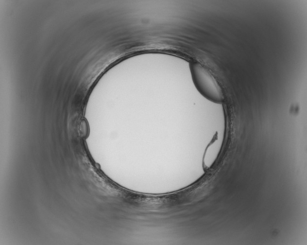 X0000114061177200911161122