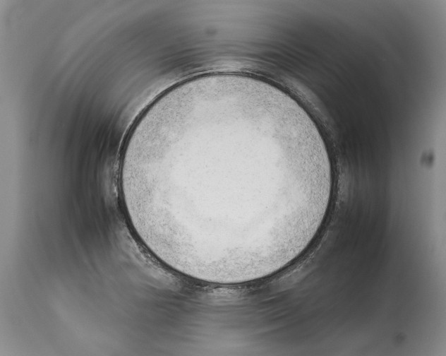 X0000114061178200911161122