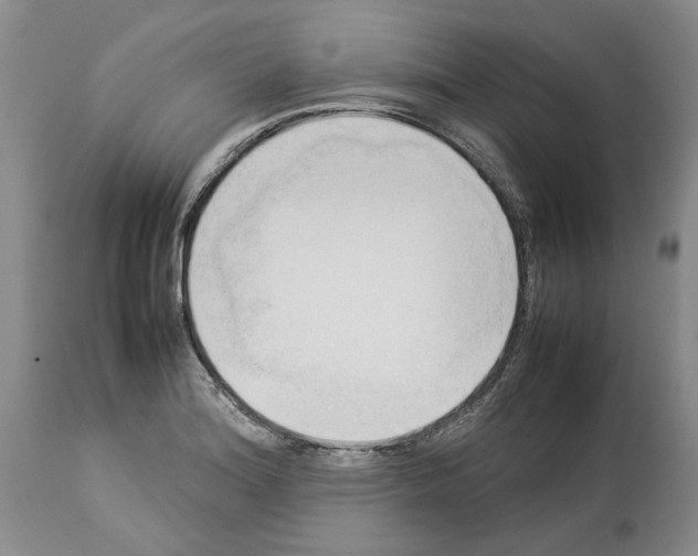 X0000114061180200911161122