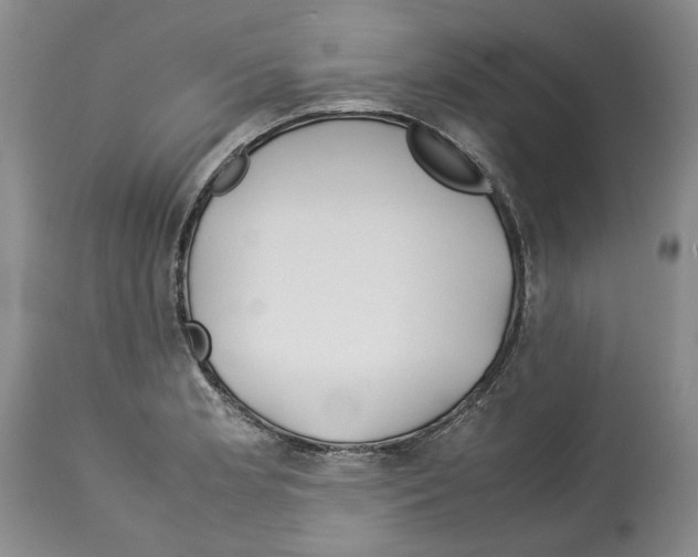 X0000114061181200911161122