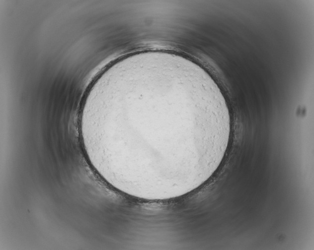 X0000114061182200911161122