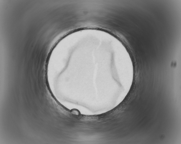 X0000114061183200911161122