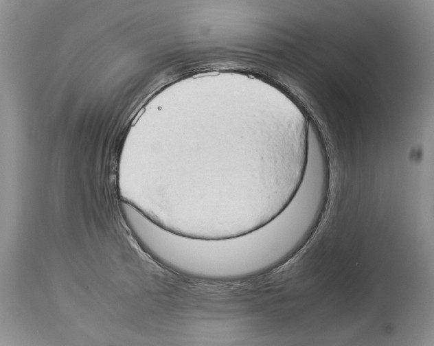 X0000114061185200911161122